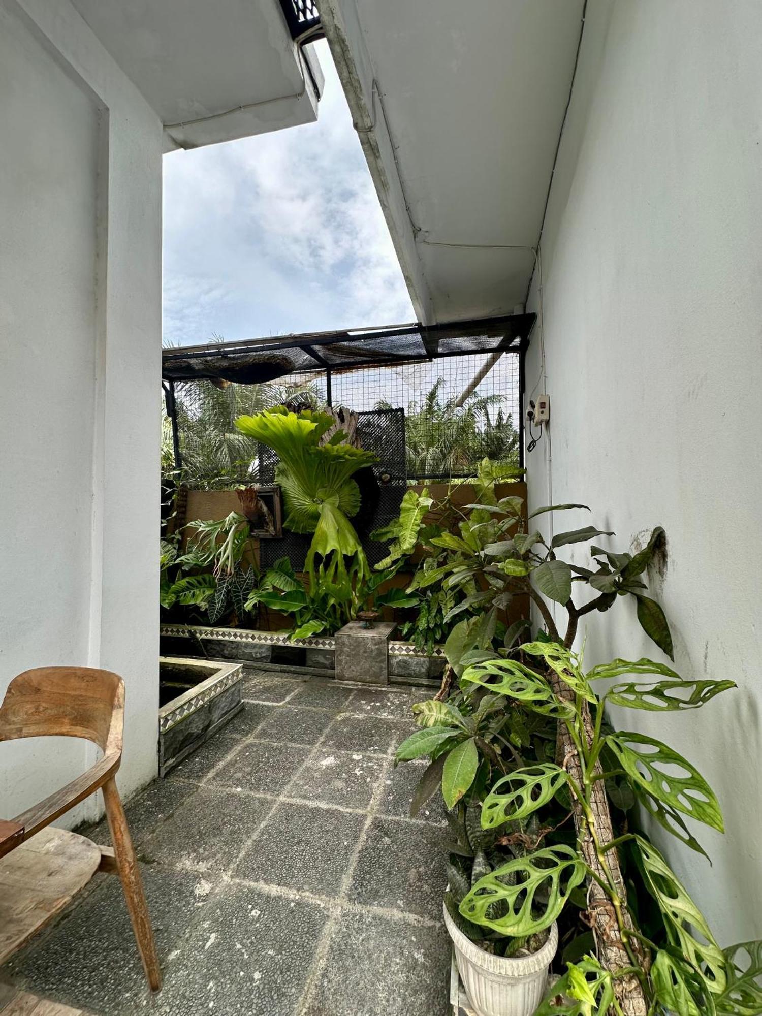 Rumah Kita Canggu Dış mekan fotoğraf